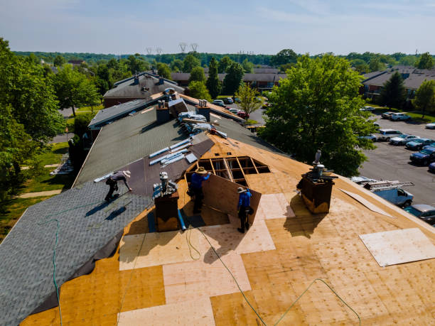 Best Flat Roof Repair Services  in West Burlington, IA