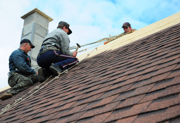 Best Roof Maintenance Services  in West Burlington, IA